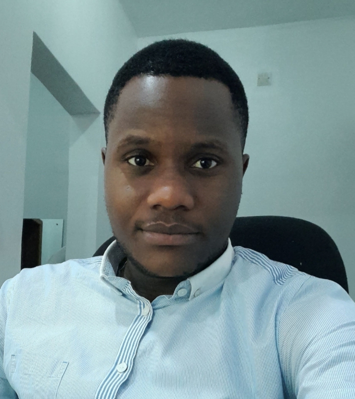 Timileyin Adelakun, Data and Business Analyst